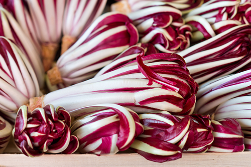 radicchio from Treviso city